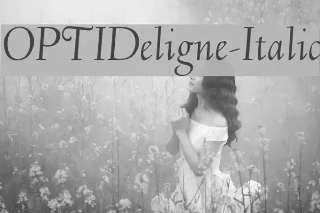 OPTIDeligne-Italic Schriftart examples