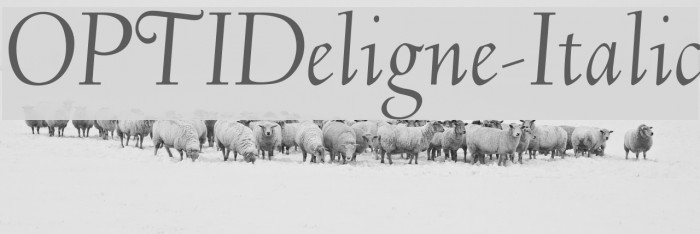 OPTIDeligne-Italic Font examples