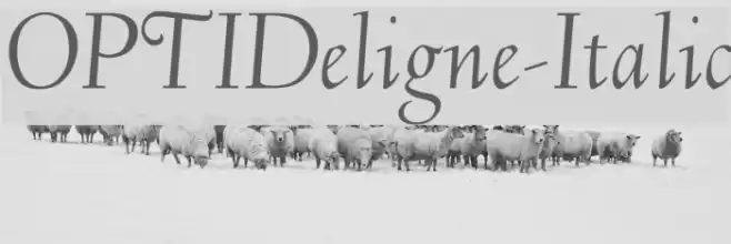 OPTIDeligne-Italic Schriftart examples