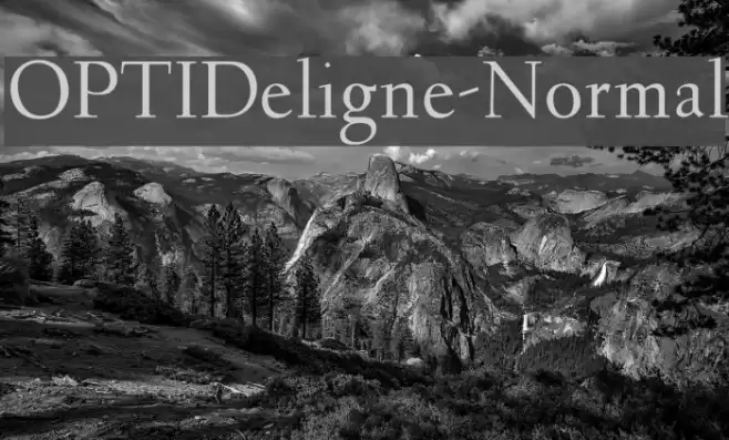 OPTIDeligne-Normal Font examples