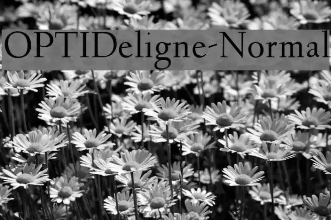 OPTIDeligne-Normal Font examples