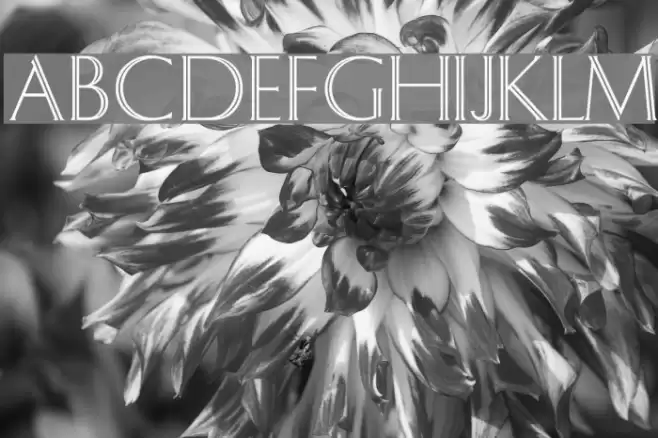 OPTIDelphian Font examples