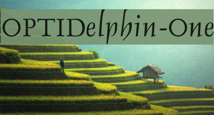 OPTIDelphin-One Font examples