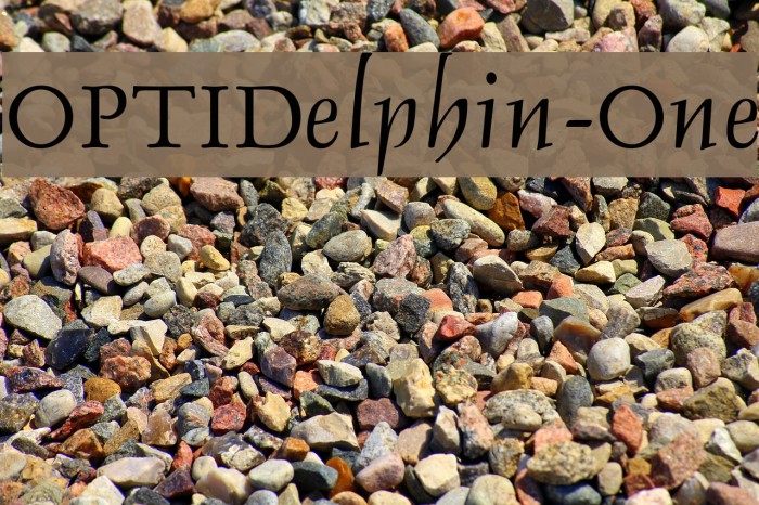 OPTIDelphin-One Font examples