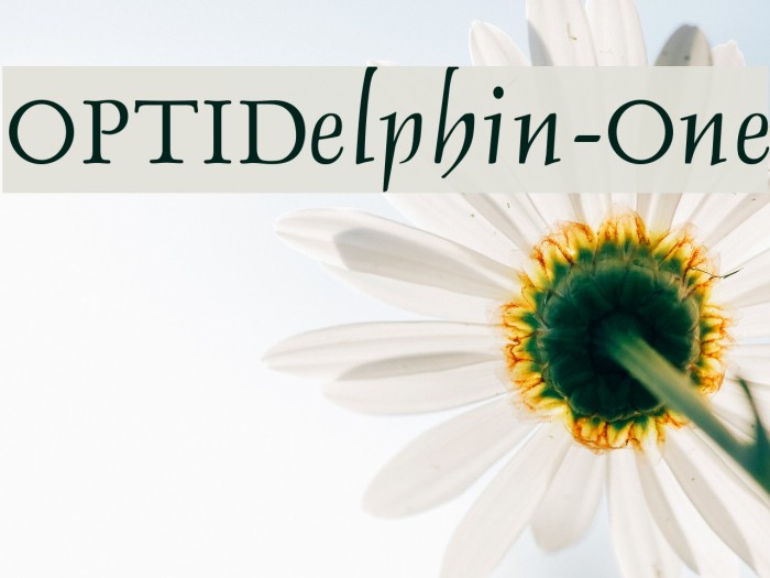 OPTIDelphin-One Font examples
