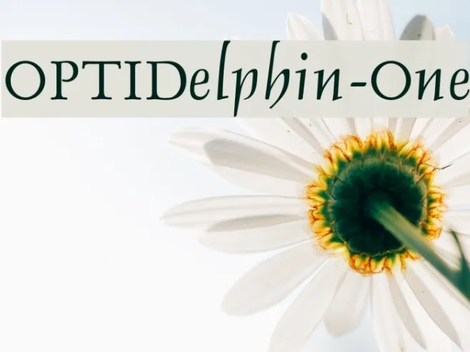 OPTIDelphin-One Example 3