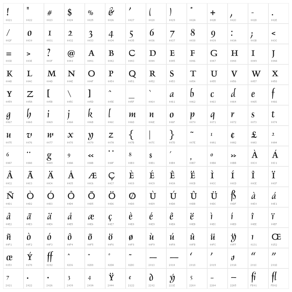 OPTIDelphin-Two Character Map