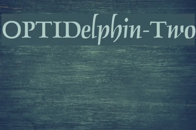 OPTIDelphin-Two Example 2