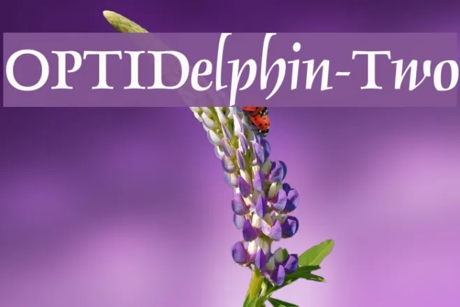 OPTIDelphin-Two Example 3