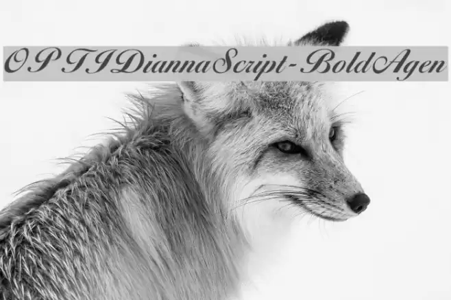 OPTIDiannaScript-BoldAgen Font examples