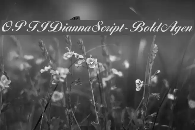 OPTIDiannaScript-BoldAgen Font examples