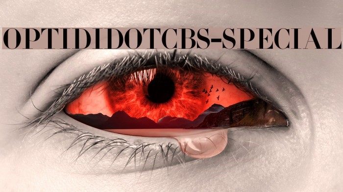 OPTIDidotCBS-Special Font examples