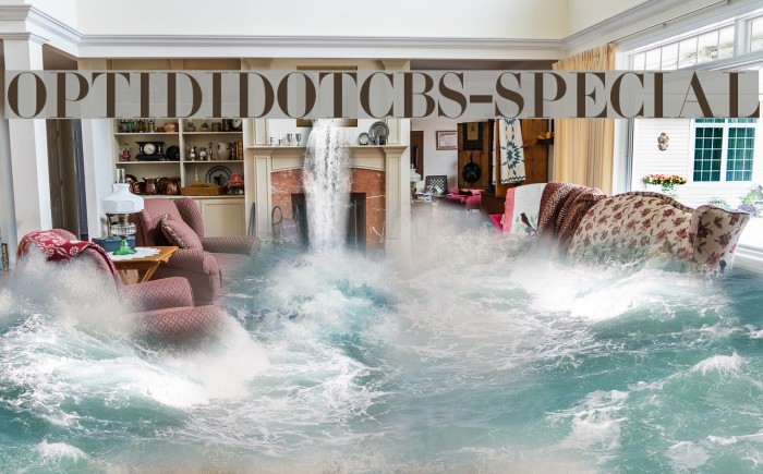 OPTIDidotCBS-Special Font examples