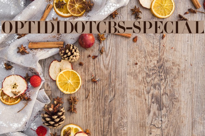 OPTIDidotCBS-Special Font examples