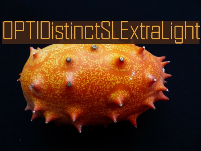 OPTIDistinctSLExtraLight Font examples