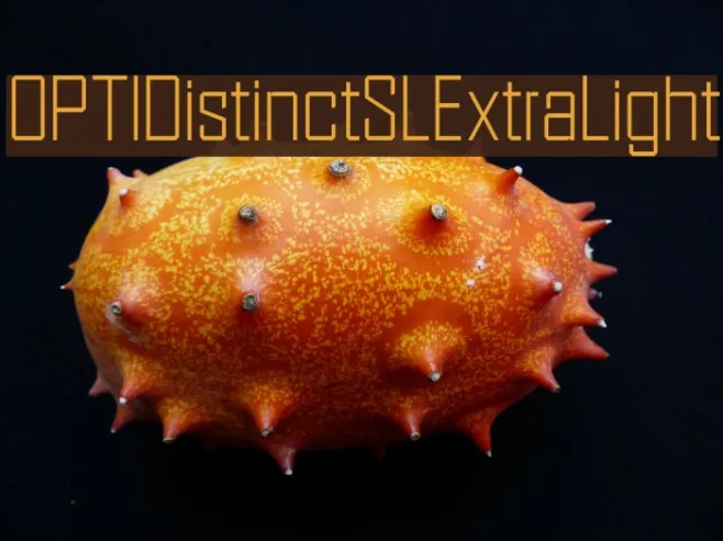 OPTIDistinctSLExtraLight Example 2