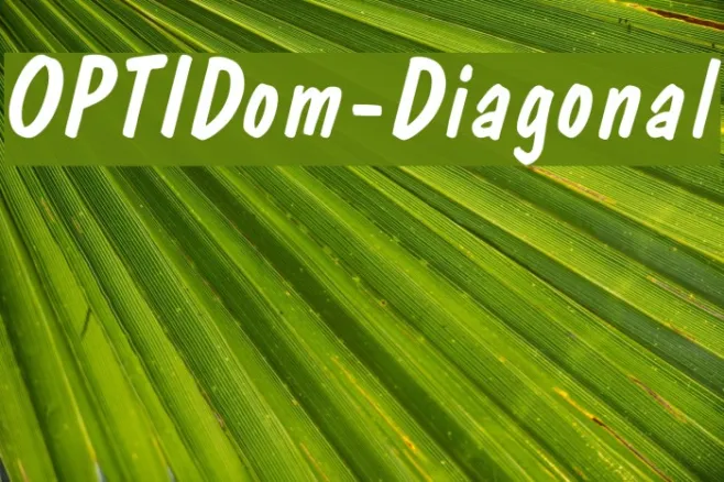 OPTIDom-Diagonal Example 1