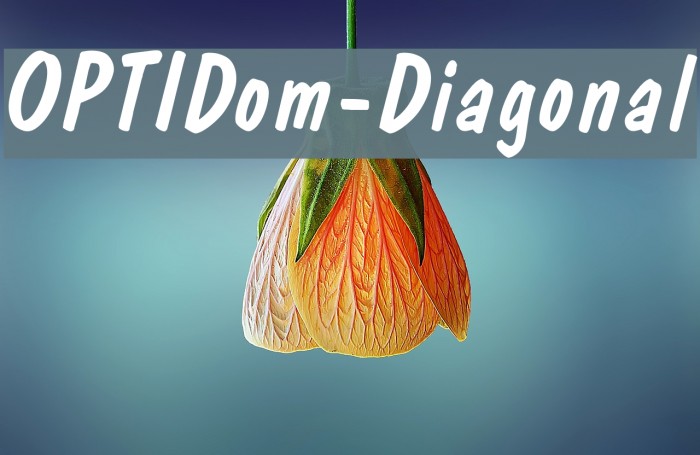 OPTIDom-Diagonal Font examples