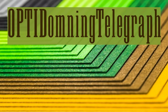 OPTIDomningTelegraph Font examples