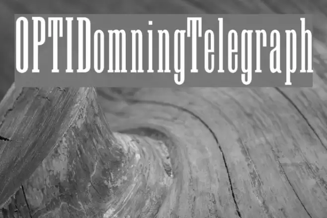 OPTIDomningTelegraph Font examples