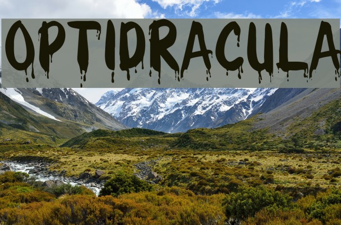 OPTIDracula Example 3