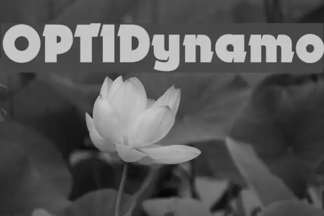 OPTIDynamo Font examples