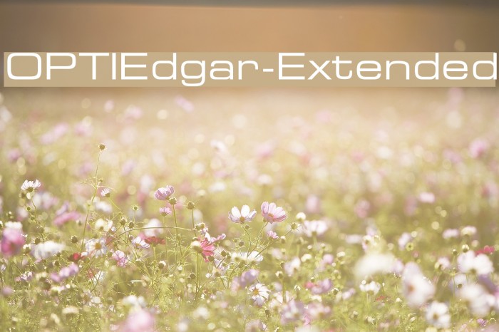 OPTIEdgar-Extended Font examples