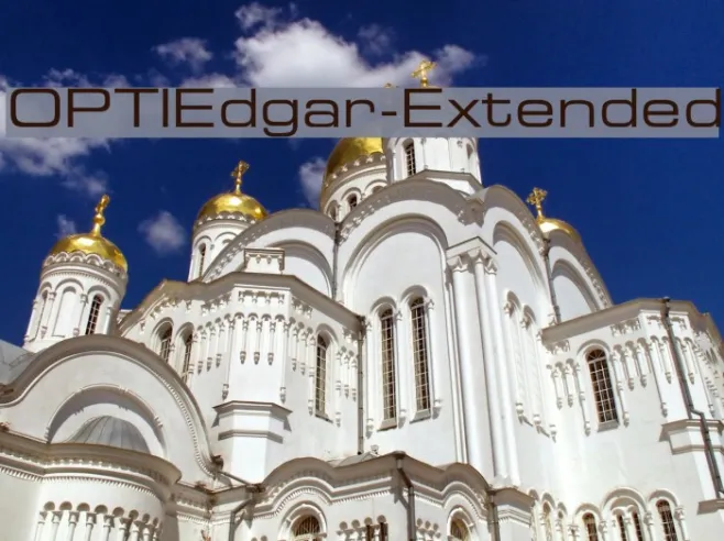 OPTIEdgar-Extended Example 2
