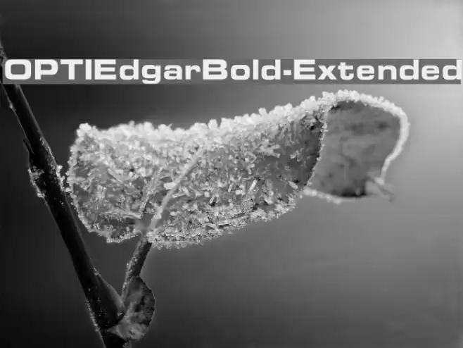 OPTIEdgarBold-Extended Font examples
