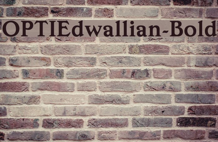 OPTIEdwallian-Bold Example 2