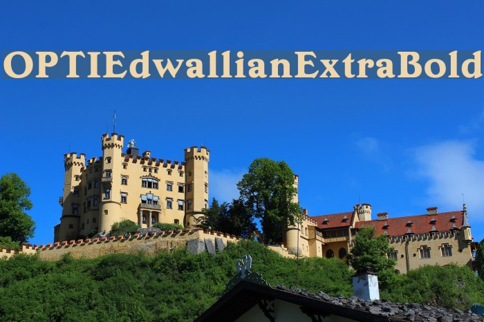 OPTIEdwallianExtraBold Font examples