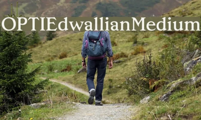 OPTIEdwallianMedium Example 1