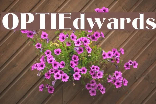 OPTIEdwards Example 1
