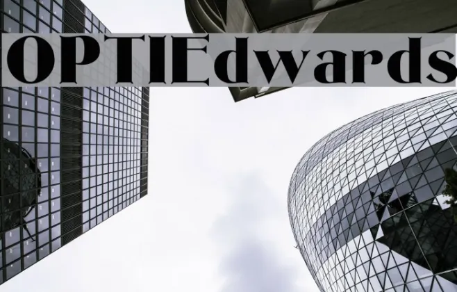 OPTIEdwards Example 2