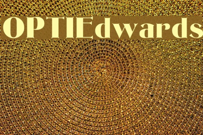 OPTIEdwards Example 3