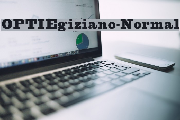 OPTIEgiziano-Normal Font examples