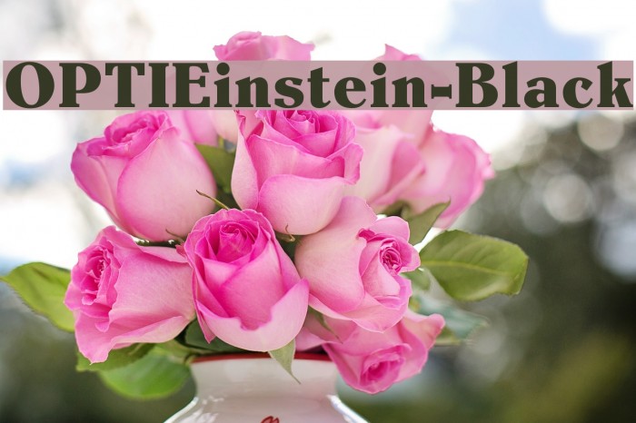 OPTIEinstein-Black Font examples