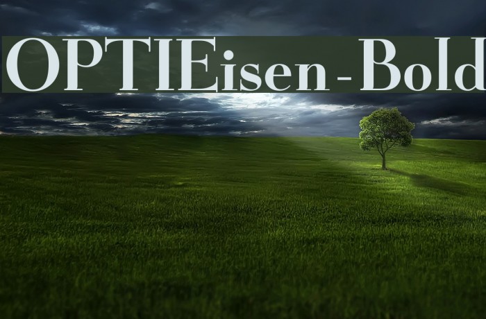 OPTIEisen-Bold Font examples