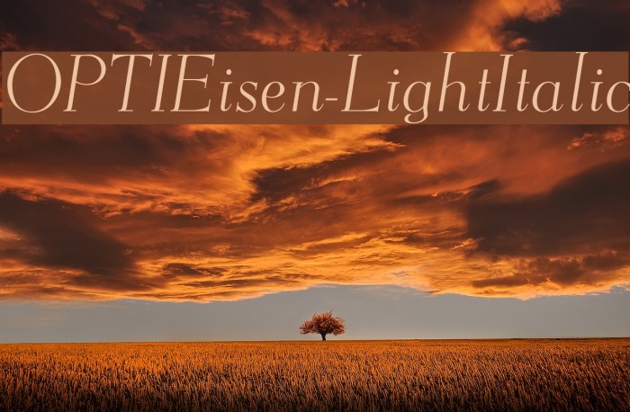OPTIEisen-LightItalic Font examples