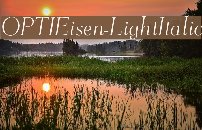 OPTIEisen-LightItalic Font examples