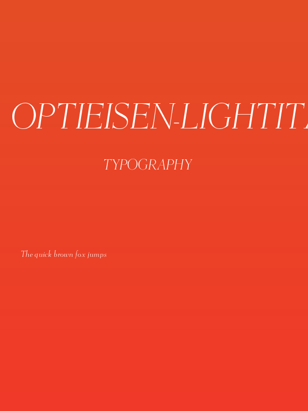 OPTIEisen-LightItalic Poster