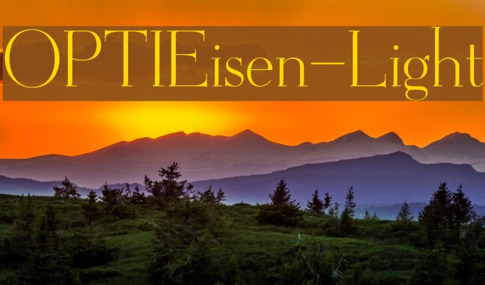 OPTIEisen-Light Font examples
