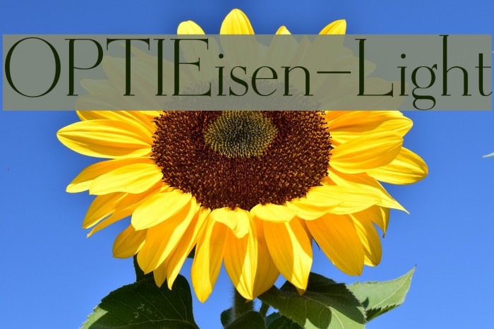 OPTIEisen-Light Font examples
