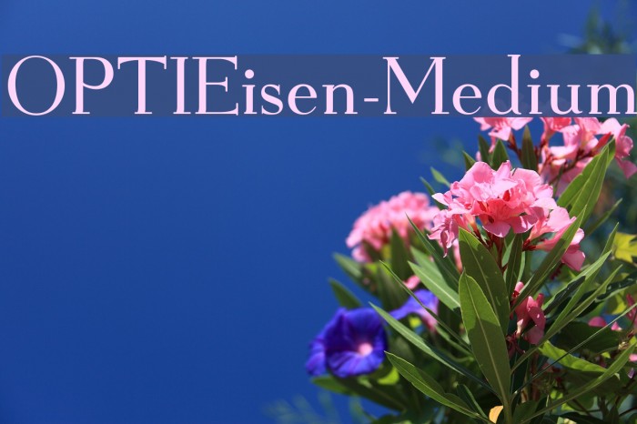 OPTIEisen-Medium Font examples