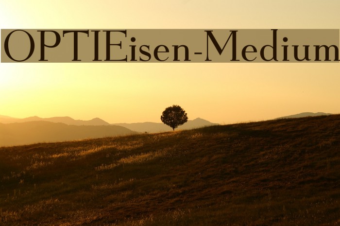 OPTIEisen-Medium Font examples