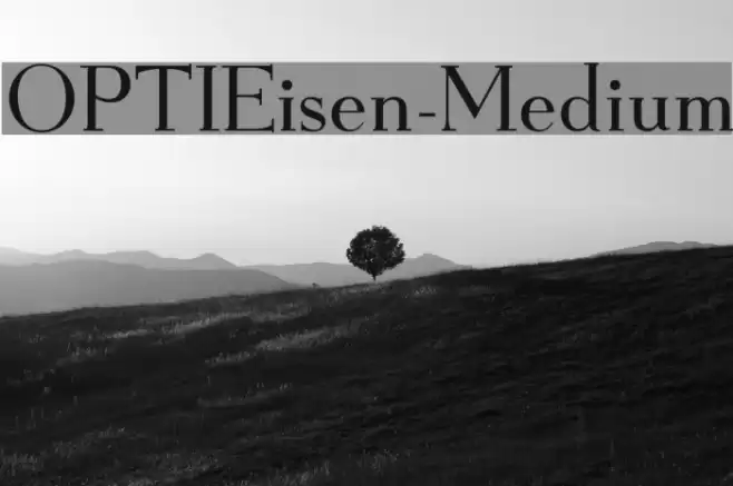 OPTIEisen-Medium Font examples