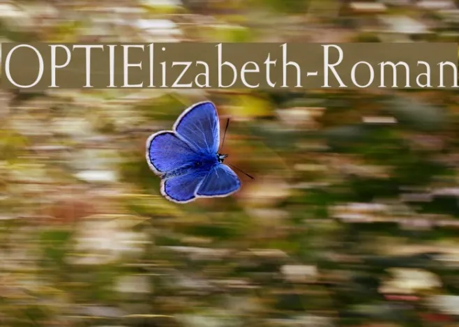 OPTIElizabeth-Roman Example 1