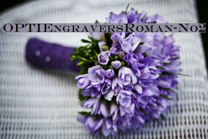 OPTIEngraversRoman-No2 Font examples