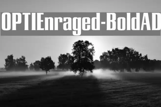 OPTIEnraged-BoldAD Font examples