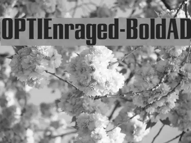OPTIEnraged-BoldAD Font examples